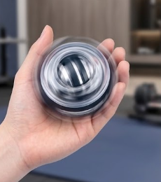 Shap Fitness Gyro Ball